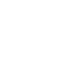 guarantee-certificate icon